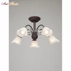 V3564-7/5PL