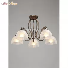 V3565-7/5PL
