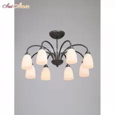 V3567-2/8PL
