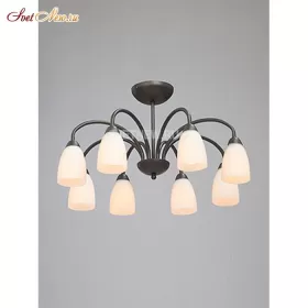 V3567-2/8PL