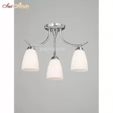 V3577/3PL
