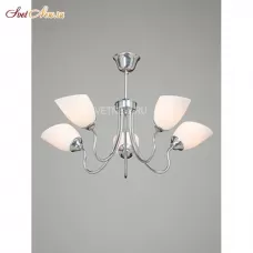 V3581/5PL