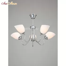 V3581/5PL