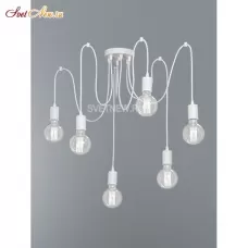 V4238-0/6PL