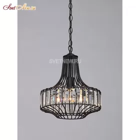V4248-1/1S