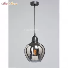 V4251-9/1S