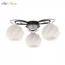 CL168135