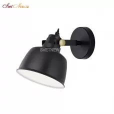 CL448313