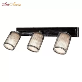 CL535531