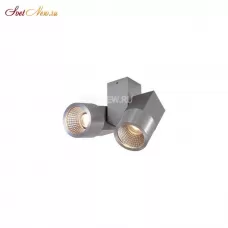 CL556101