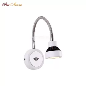 CL557311