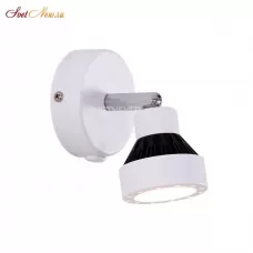 CL557511