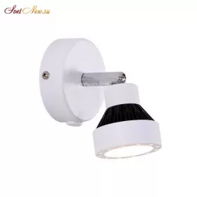 CL557511