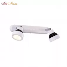 CL557521