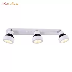 CL557531