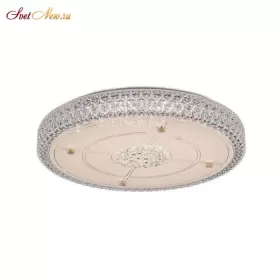 CL705141
