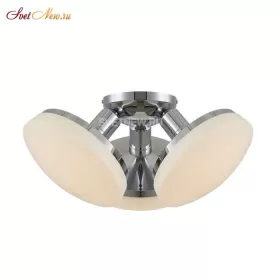 CL716131Wz