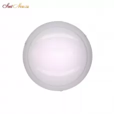 CL918081
