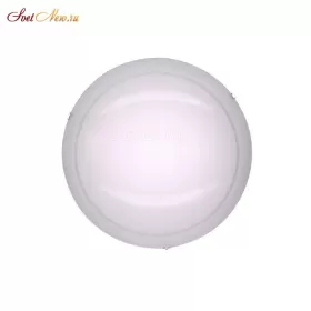 CL918081