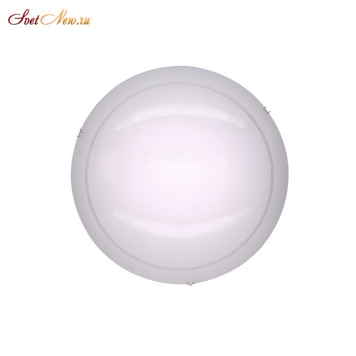 CL918081