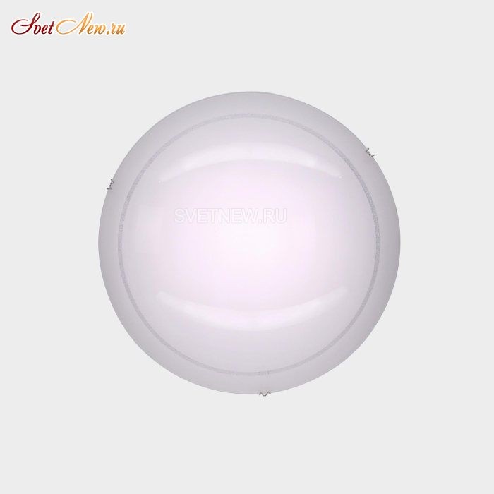 CL918081