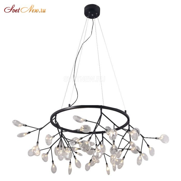 EVITA SP45 D BLACK/TRANSPARENT