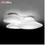 Lumi Mycena d46