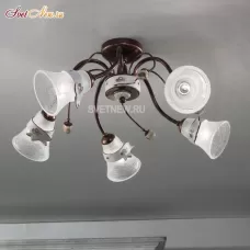 C1005