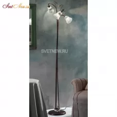 C1008