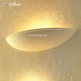 CG303