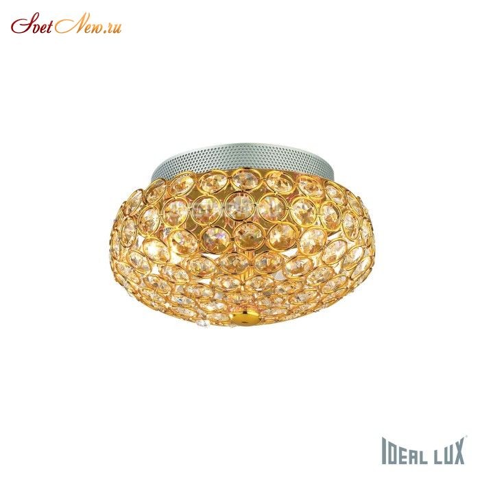 KING PL3 ORO