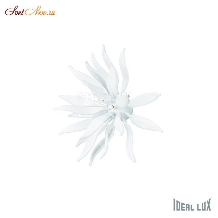 LEAVES PL6 BIANCO