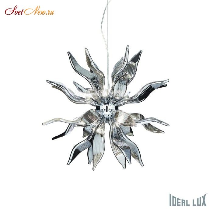 LEAVES SP8 FUME'
