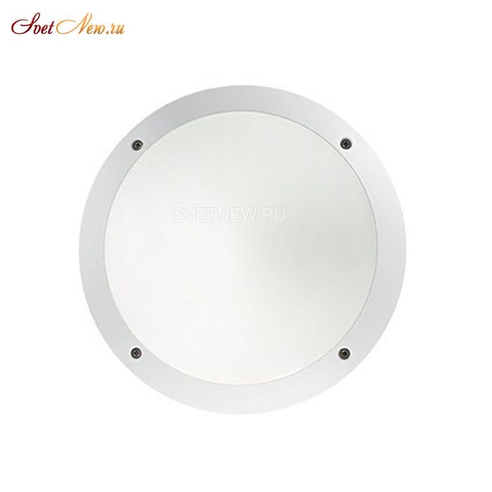 LUCIA-1 AP1 BIANCO