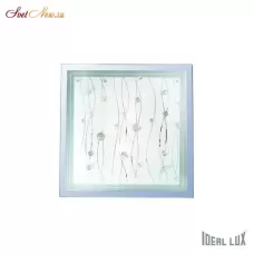 OCEAN PL2 TRASPARENTE