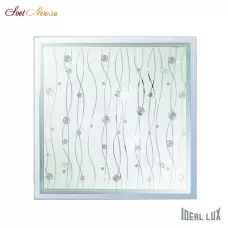 OCEAN PL3 TRASPARENTE