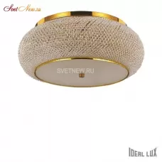 PASHA' PL10 ORO