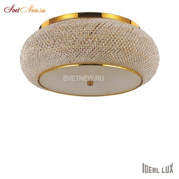 PASHA' PL10 ORO