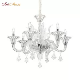 RADETZKY SP6 TRASPARENTE