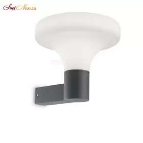 SOUND AP1 ANTRACITE