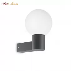 CLIO-3 AP1 ANTRACITE