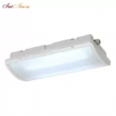 240004