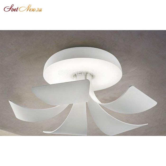 Blossomy LED PL1 WH-M