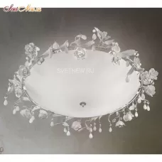 Biancarosa PL6 80 P06
