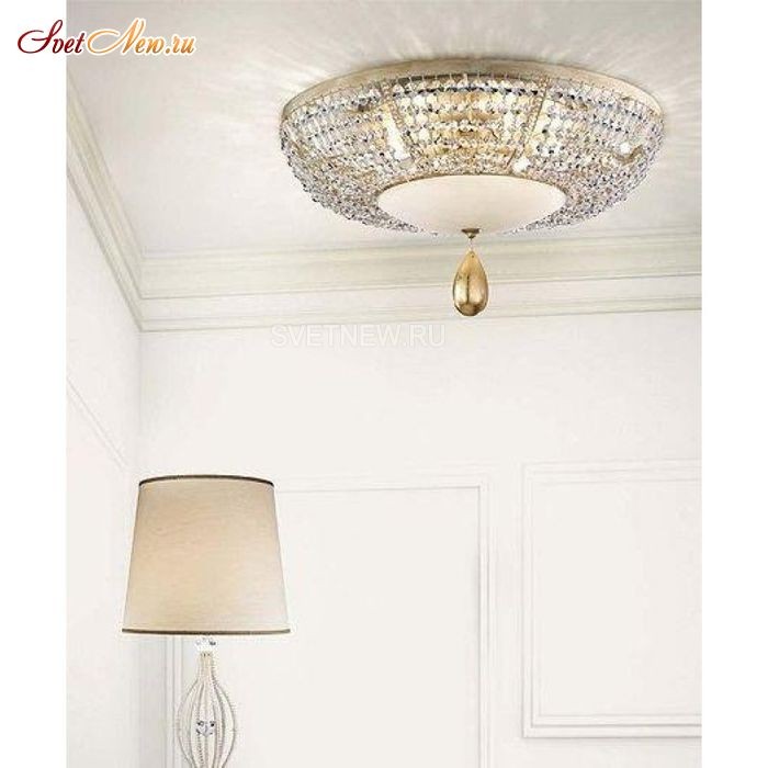 Noblesse PL6 P01 Cut crystal
