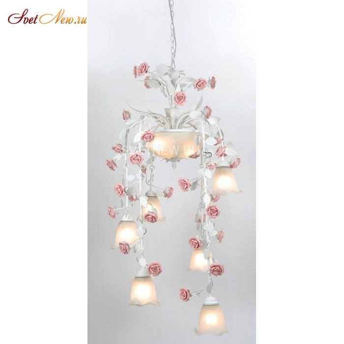 Fiori di rose 113.6.3