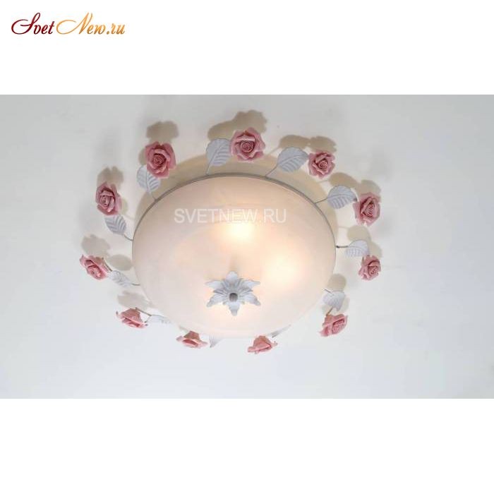 Fiori di rose 104.400