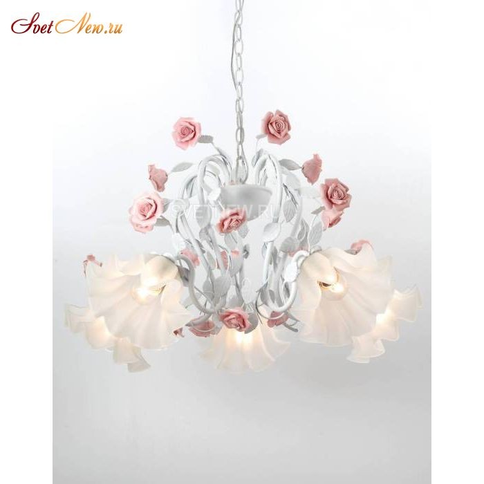 Fiori di rose 111.5