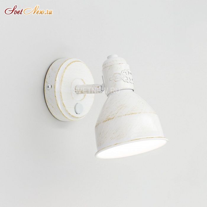 CL502513