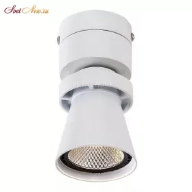 CL556510